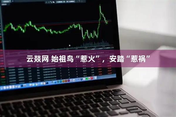 云燚网 始祖鸟“惹火”，安踏“惹祸”
